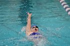 Swimming & Diving vs Babson  Swimming & Diving vs Babson College. - Photo by Keith Nordstrom : Wheaton, Swimming